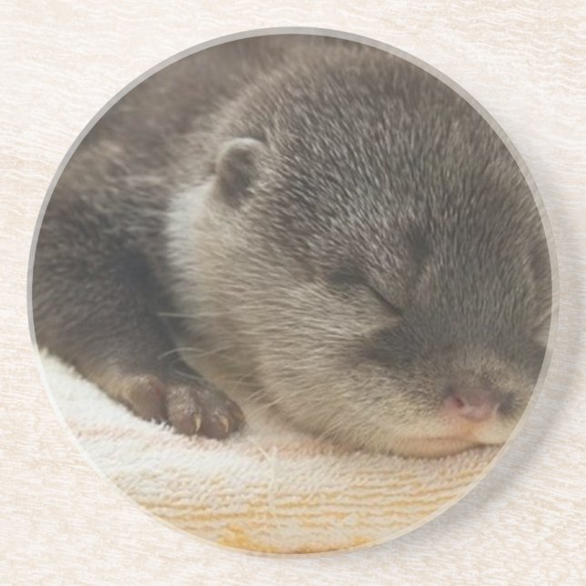 Dessous De Verre En Grès Sleepy Otter (Devant)