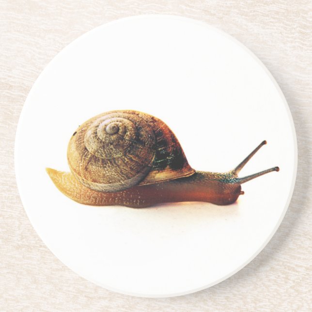 Dessous De Verre En Grès snail (Devant)