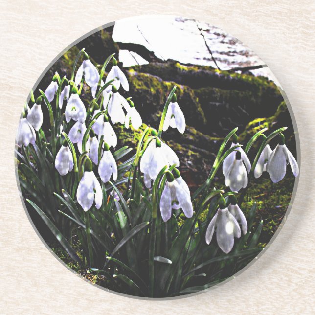 Dessous De Verre En Grès Snowdrops (Devant)
