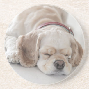 Dessous De Verre En Grès Sommeil de chien de cocker