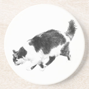 Dessous De Verre En Grès Sondage de chats dans les ombres d'automne