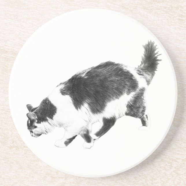 Dessous De Verre En Grès Sondage de chats dans les ombres d'automne (Devant)