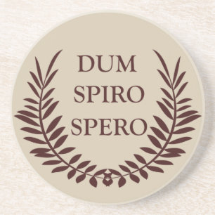 Dessous De Verre En Grès sperme spiro