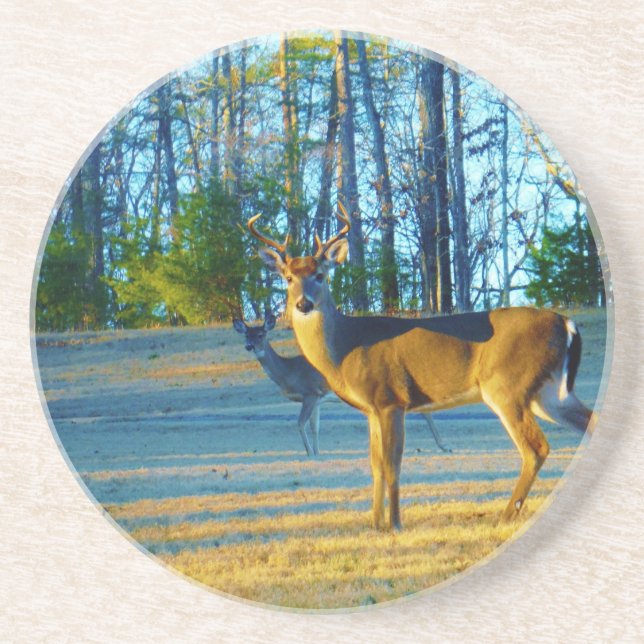 Dessous De Verre En Grès Stade / Buck Deer, Ciel bleu clair (Devant)