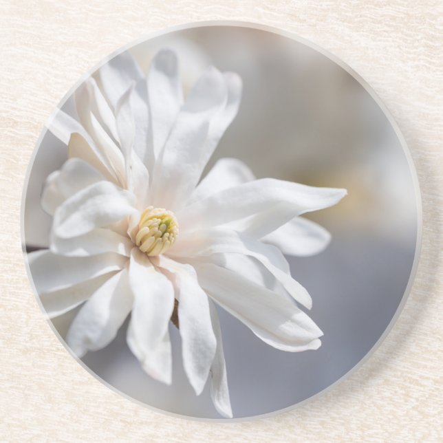 Dessous De Verre En Grès Star Magnolia Bloom (Devant)