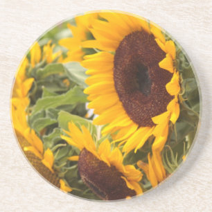 Dessous De Verre En Grès Sunflowers !
