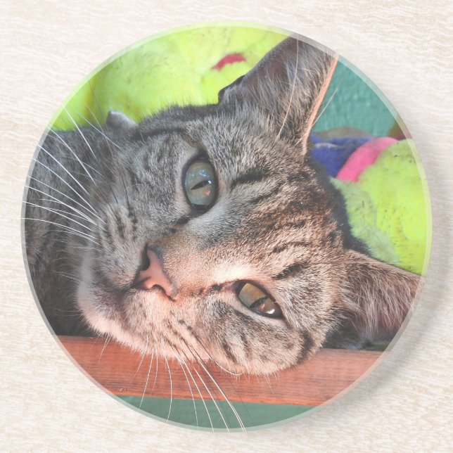 Dessous De Verre En Grès Tabby Cat Love (Devant)