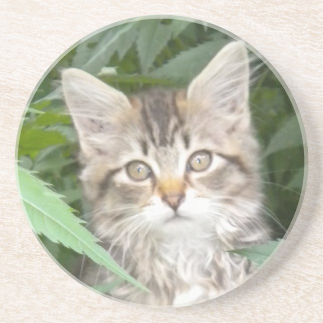 Dessous De Verre En Grès Tabby Kitten (Devant)