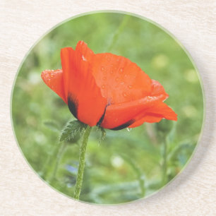 Dessous De Verre En Grès Tapis de jeu Coquelicot