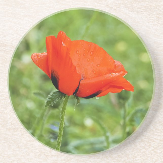 Dessous De Verre En Grès Tapis de jeu Coquelicot (Devant)