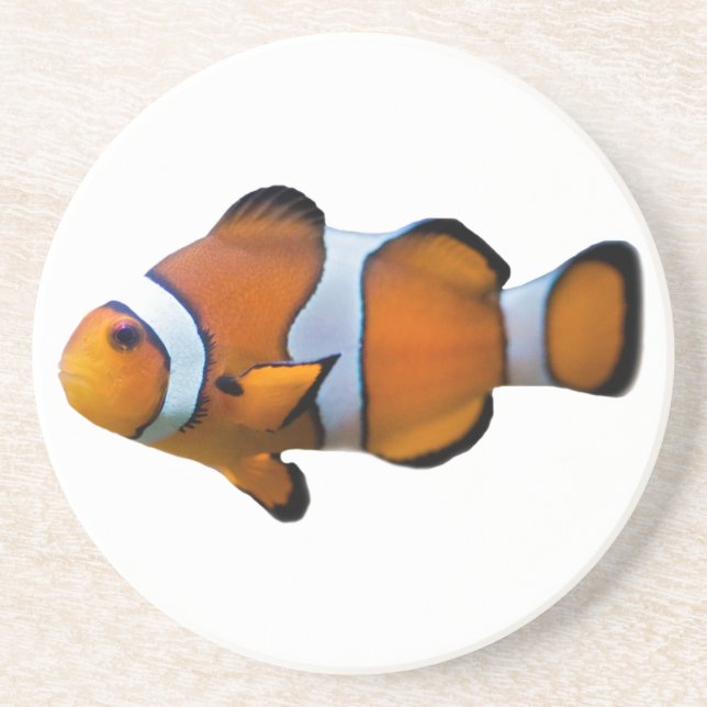 Dessous De Verre En Grès Tapis de poisson clown (Devant)