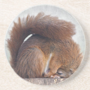 Dessous De Verre En Grès Tapis de souris Yoga Écureuil