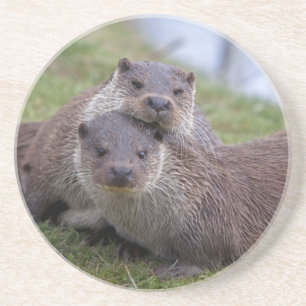 Dessous De Verre En Grès Tapis roulant Otterly in Love