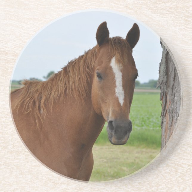Dessous De Verre En Grès Téléphérique du Cheval (Devant)