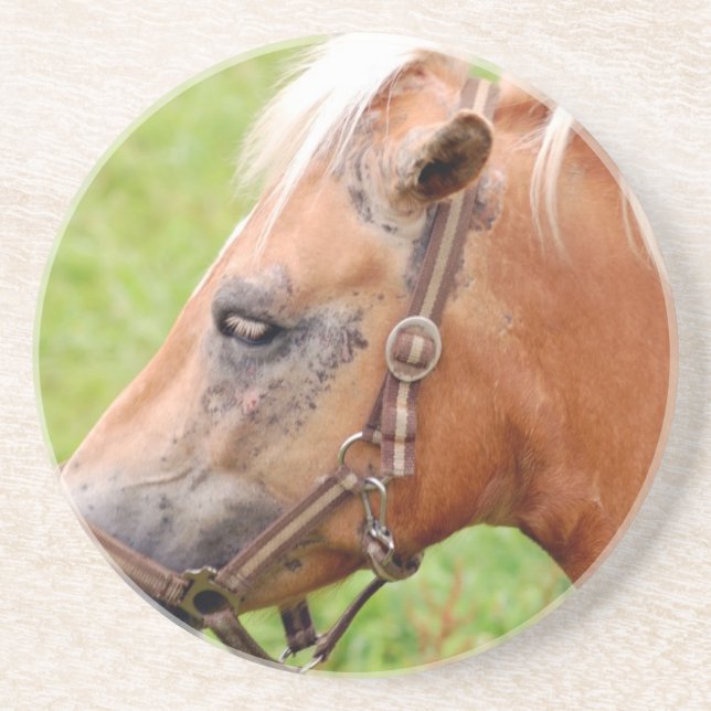 Dessous De Verre En Grès Tête de cheval 003 (Devant)