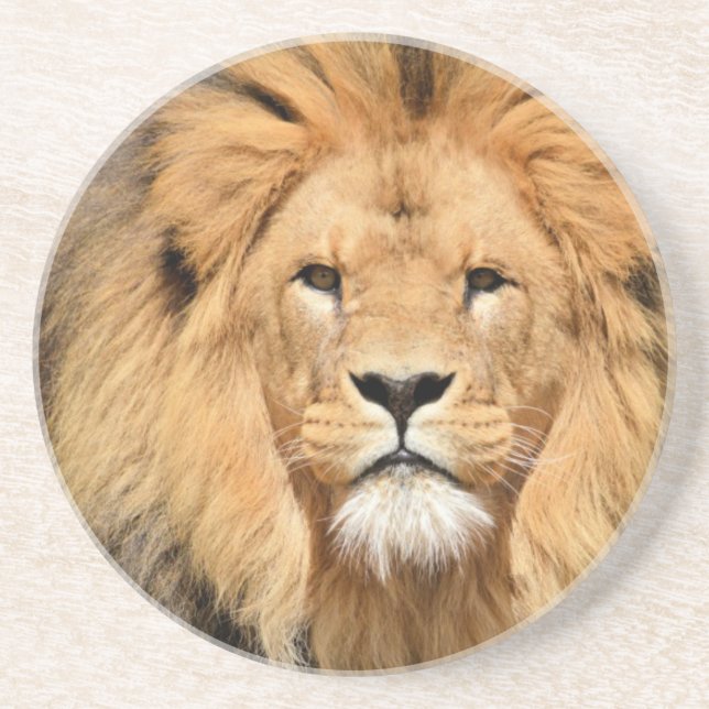 Dessous De Verre En Grès Tête de Lions (Devant)