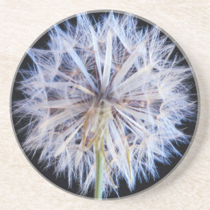 Dessous De Verre En Grès Tête de semence Dandelion (Taraxacum Officinale)