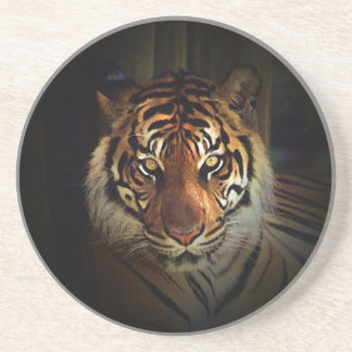 Dessous De Verre En Grès Tigre