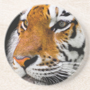 Dessous De Verre En Grès Tigre