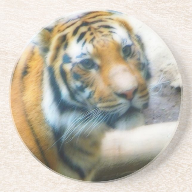 Dessous De Verre En Grès Tigre (Devant)