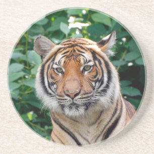 Dessous De Verre En Grès Tigre 001