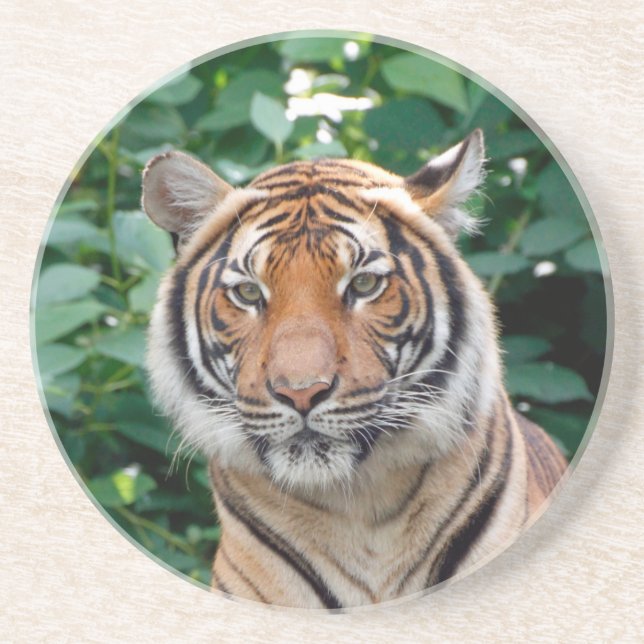 Dessous De Verre En Grès Tigre 001 (Devant)