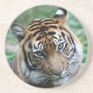 Dessous De Verre En Grès Tigre 012