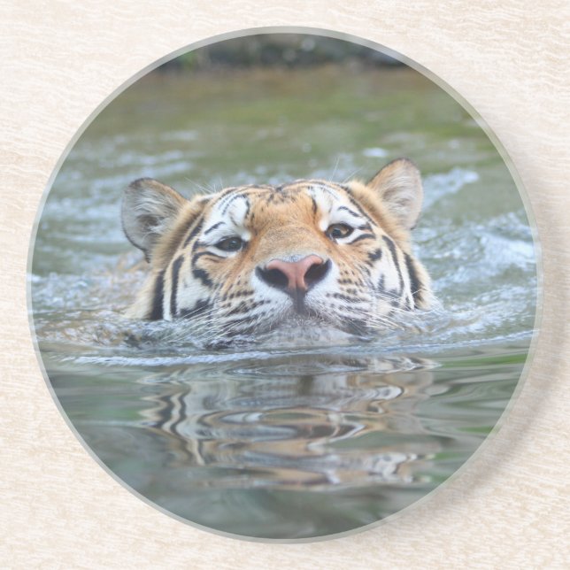 Dessous De Verre En Grès Tigre 028 (Devant)
