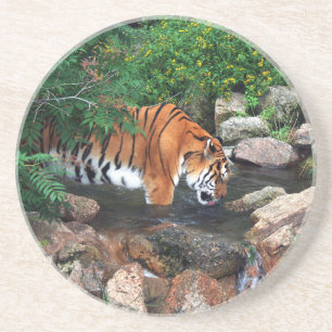 Dessous De Verre En Grès Tigre à la chute