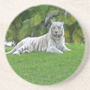 Dessous De Verre En Grès Tigre blanc se reposant dans la lumière verdoyante