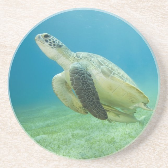 Dessous De Verre En Grès Tortue (Devant)