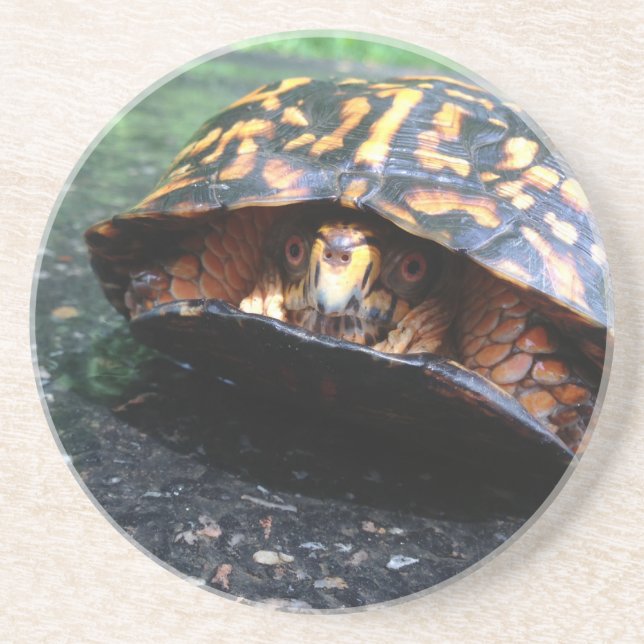 Dessous De Verre En Grès Tortue (Devant)