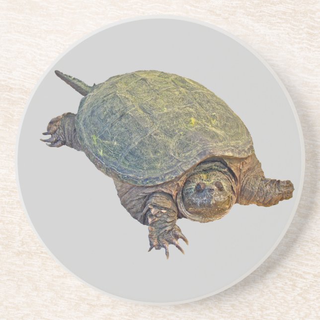 Dessous De Verre En Grès Tortue commune - Chelydra serpentina (Devant)