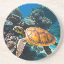Tortue de mer récif de corail sous-marin