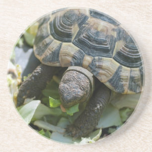 Dessous De Verre En Grès Tortue mignonne