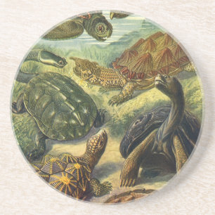 Dessous De Verre En Grès Tortues de mer Tortue terrestre vintage par Ernst 