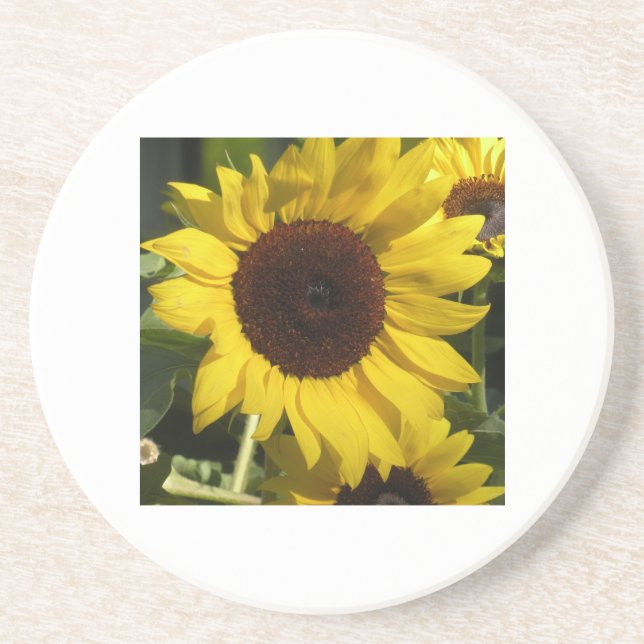 Dessous De Verre En Grès Tournesol (Devant)