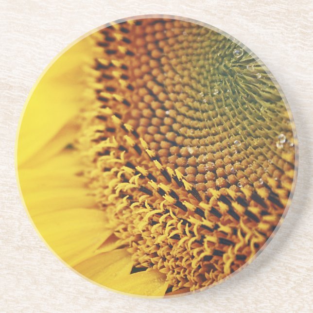 Dessous De Verre En Grès Tournesol frais et d'or (Devant)