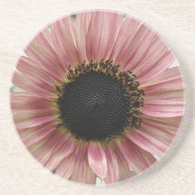 Dessous De Verre En Grès Tournesol rose pâle (Devant)