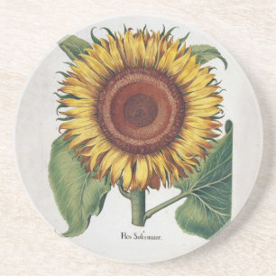 Dessous De Verre En Grès Tournesol Vintage Damas Fleur Art