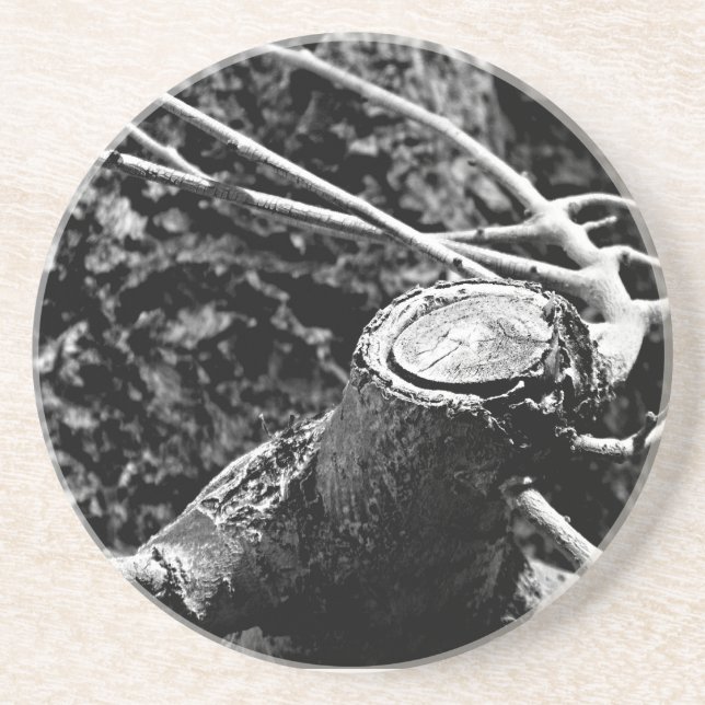 Dessous De Verre En Grès tournez-moi autour de l'arbre (Devant)