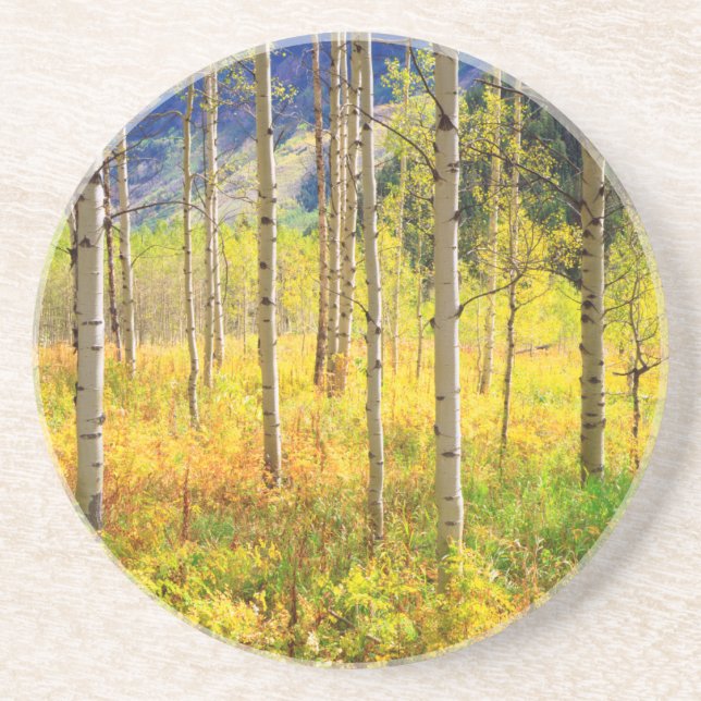 Dessous De Verre En Grès Trembles en automne dans les Rocheuses (Devant)