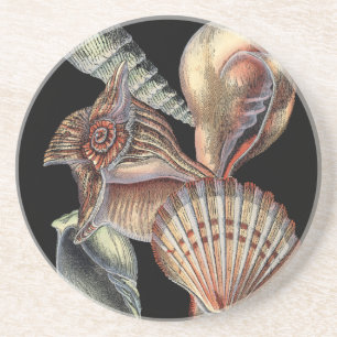 Dessous De Verre En Grès Trésors de la mer