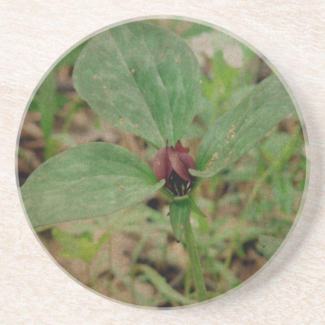 Dessous De Verre En Grès Trillium Flower (Devant)