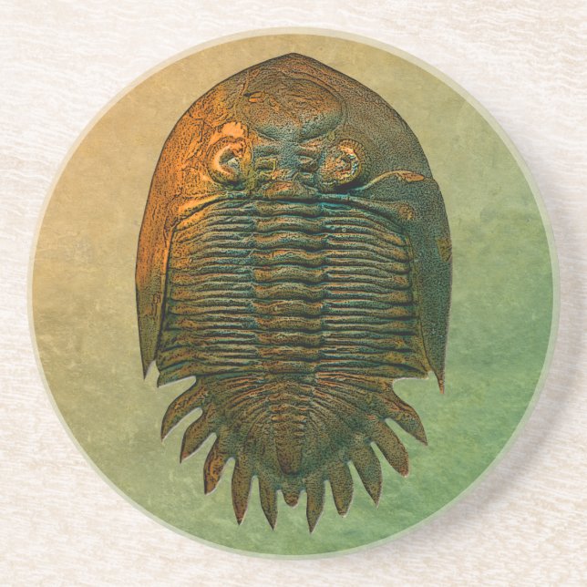 Dessous De Verre En Grès Trilobite Fossil Neometacanthus (Devant)