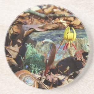 Dessous De Verre En Grès Truite jaune et prune Lily et Coquille d'escargot