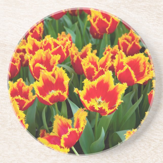 Dessous De Verre En Grès Tulipa Fabio, Keukenhof, Pays-Bas (Devant)