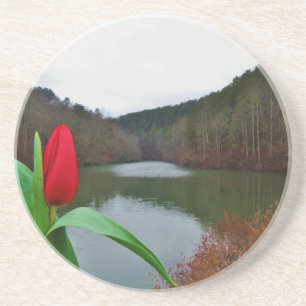 Dessous De Verre En Grès Tulipe rouge printanière au lac Arrowhead