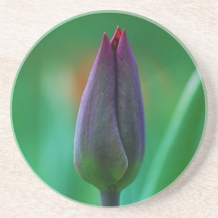 Dessous De Verre En Grès Tulipe violette fraîche en fleurs Coaster en grès