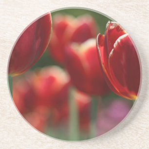 Dessous De Verre En Grès Tulipes